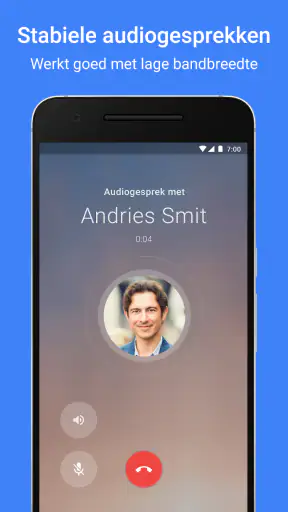 Google Meet screenshot