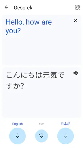 Google Translate screenshot