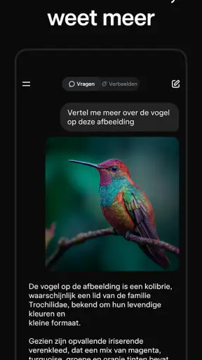 Grok: AI-assistent screenshot