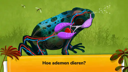 Hoe gaan dieren te werk? screenshot
