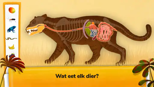 Hoe gaan dieren te werk? screenshot
