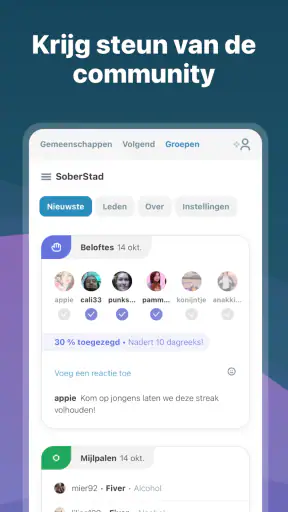 I Am Sober - Ik ben nuchter screenshot