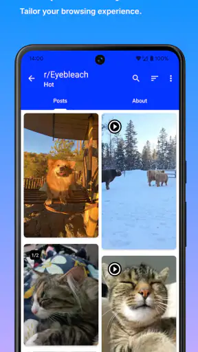 Infinity for Reddit++ screenshot