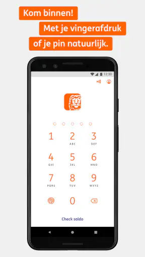 ING Bankieren screenshot