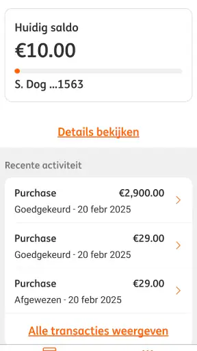 ING Commercial Card screenshot