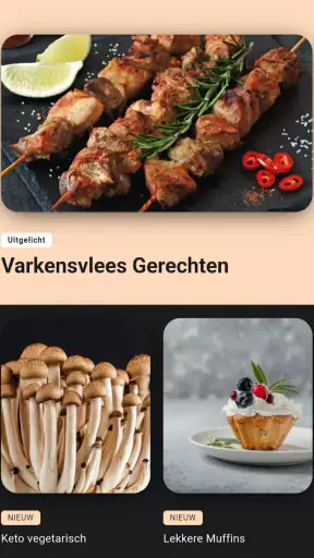 keto dieet recepten nederlands screenshot
