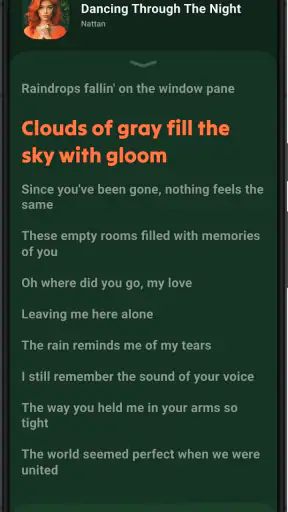 Lark Player: Muziekspeler MP3 screenshot