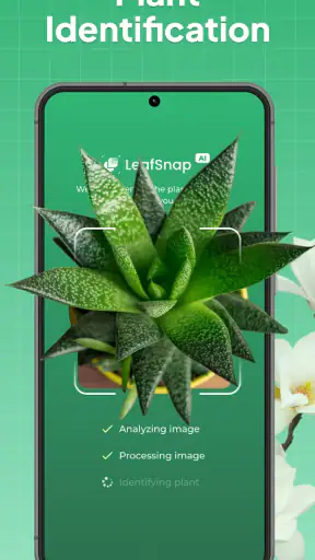 LeafSnap Plant Identification screenshot