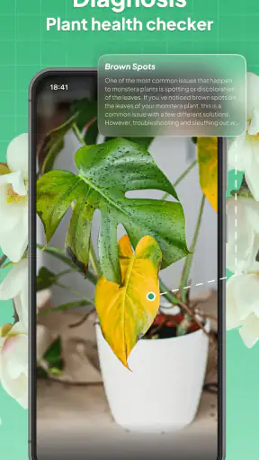 LeafSnap Plant Identification screenshot