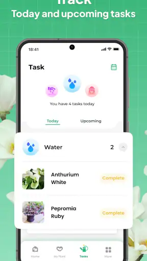 LeafSnap Plant Identification screenshot