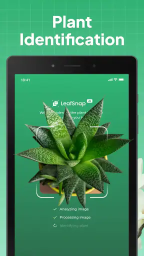 LeafSnap Plant Identification screenshot