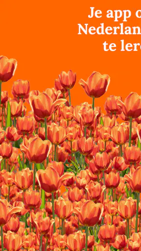 Leer Nederlands - Beginners screenshot