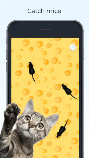 Meow - Spellen Voor Katten screenshot