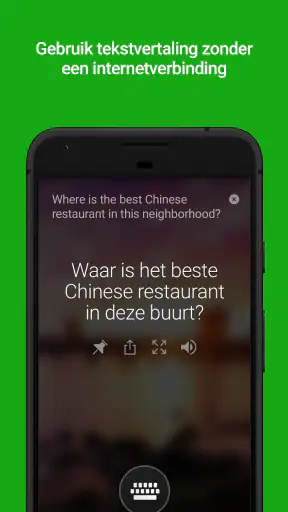 Microsoft Vertaler screenshot