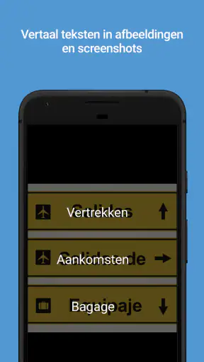 Microsoft Vertaler screenshot