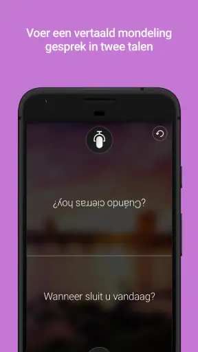 Microsoft Vertaler screenshot