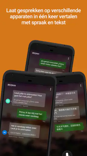 Microsoft Vertaler screenshot