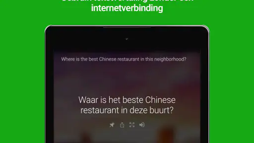 Microsoft Vertaler screenshot