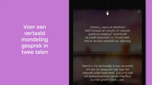 Microsoft Vertaler screenshot