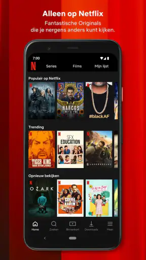 Netflix screenshot
