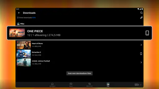 Netflix screenshot
