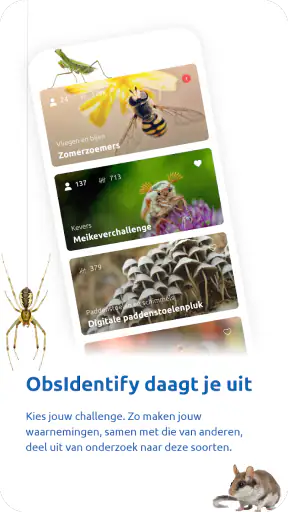 ObsIdentify screenshot
