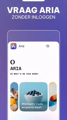 Opera-browser beta screenshot