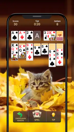 Patience - Klassiek Kaartspel screenshot