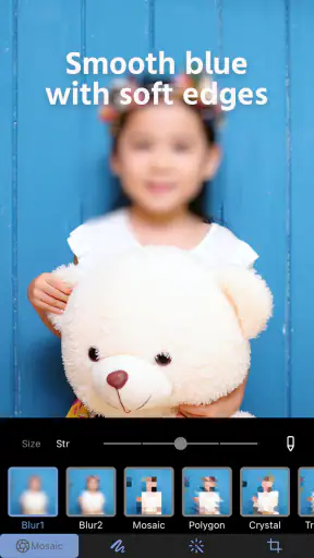 Photo Blur & Mosaic Effects screenshot