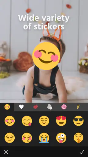 Photo Blur & Mosaic Effects screenshot