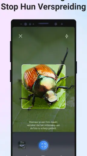 Picture Insect - Insecten ID screenshot