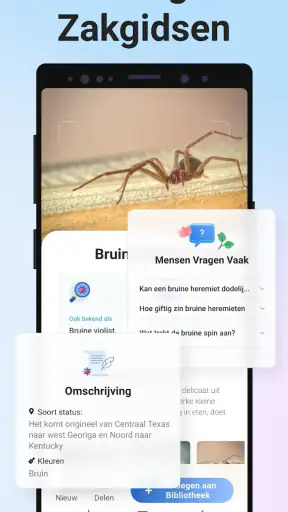 Picture Insect - Insecten ID screenshot