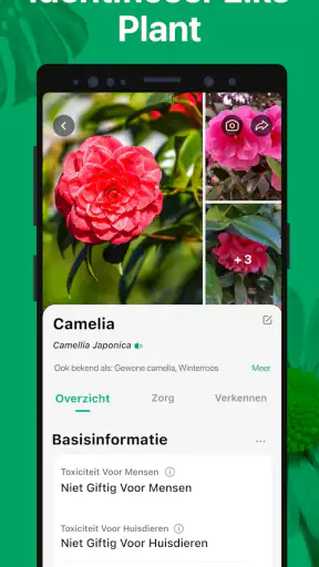 PictureThis -Planten Herkennen screenshot