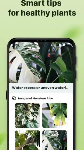 Plantid: Planten Herkennen screenshot