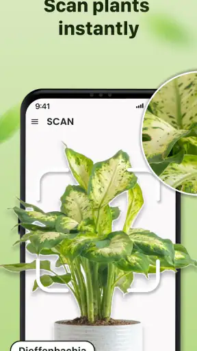 Plantid: Planten Herkennen screenshot