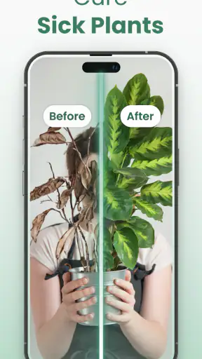 Plantify: AI Plant Identifier screenshot