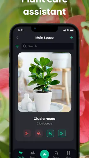 PlantIn: Planten Herkennen screenshot
