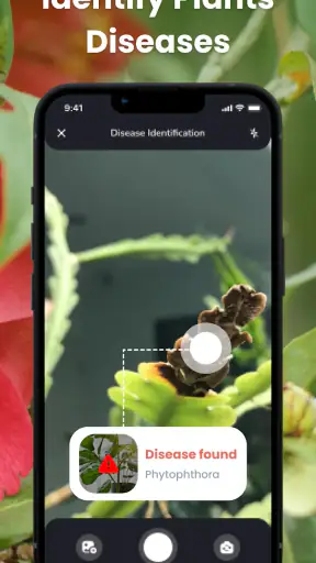 PlantIn: Planten Herkennen screenshot