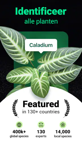 Plantum - Planten herkennen screenshot