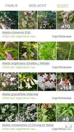 Pl@ntNet plantenidentificatie screenshot