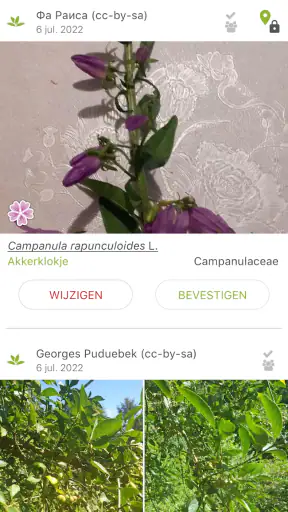 Pl@ntNet plantenidentificatie screenshot