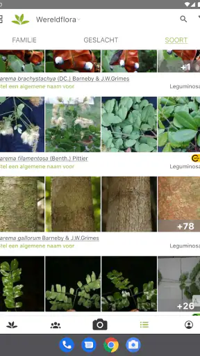 Pl@ntNet plantenidentificatie screenshot