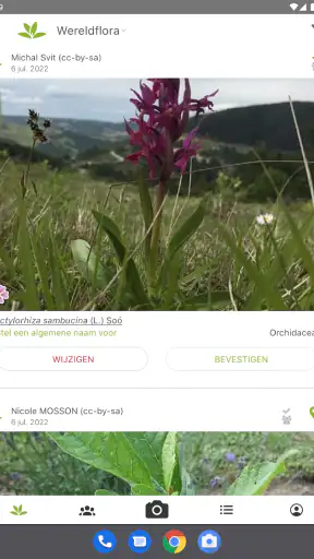 Pl@ntNet plantenidentificatie screenshot