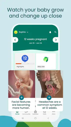 Pregnancy App & Baby Tracker screenshot