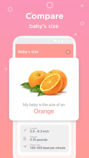 Pregnancy Tracker Week By Week screenshot