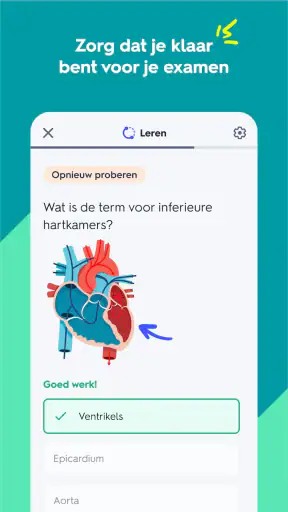 Quizlet: leren met AI screenshot