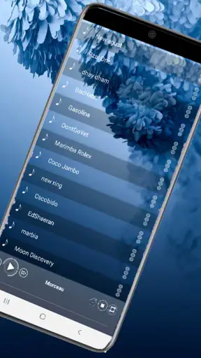 S20-beltonen voor Android screenshot