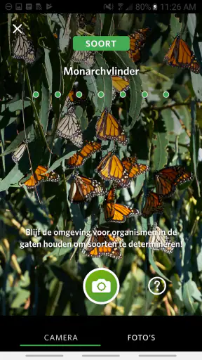 Seek door iNaturalist screenshot