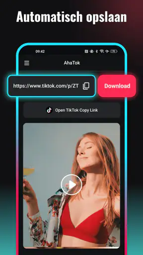 Snaptik: TT Video Downloader screenshot