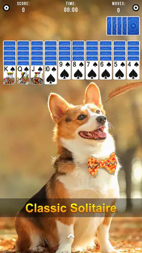 Spider Solitaire screenshot